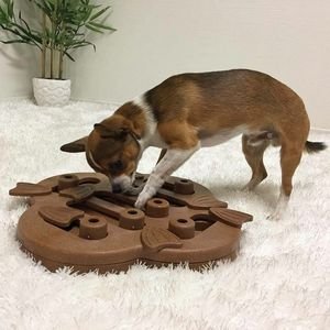Puzzelen met je hond!